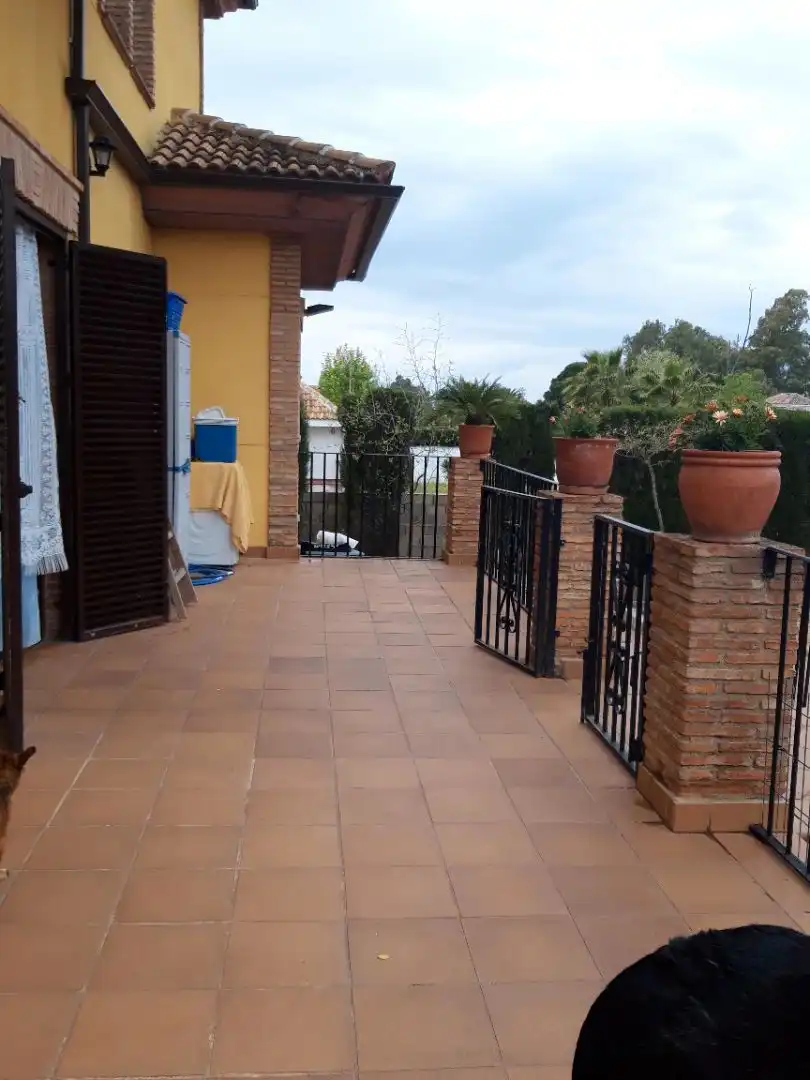 Terrassa de Casa o xalet en venda en Linares amb Aire condicionat, Calefacció i Jardí privat