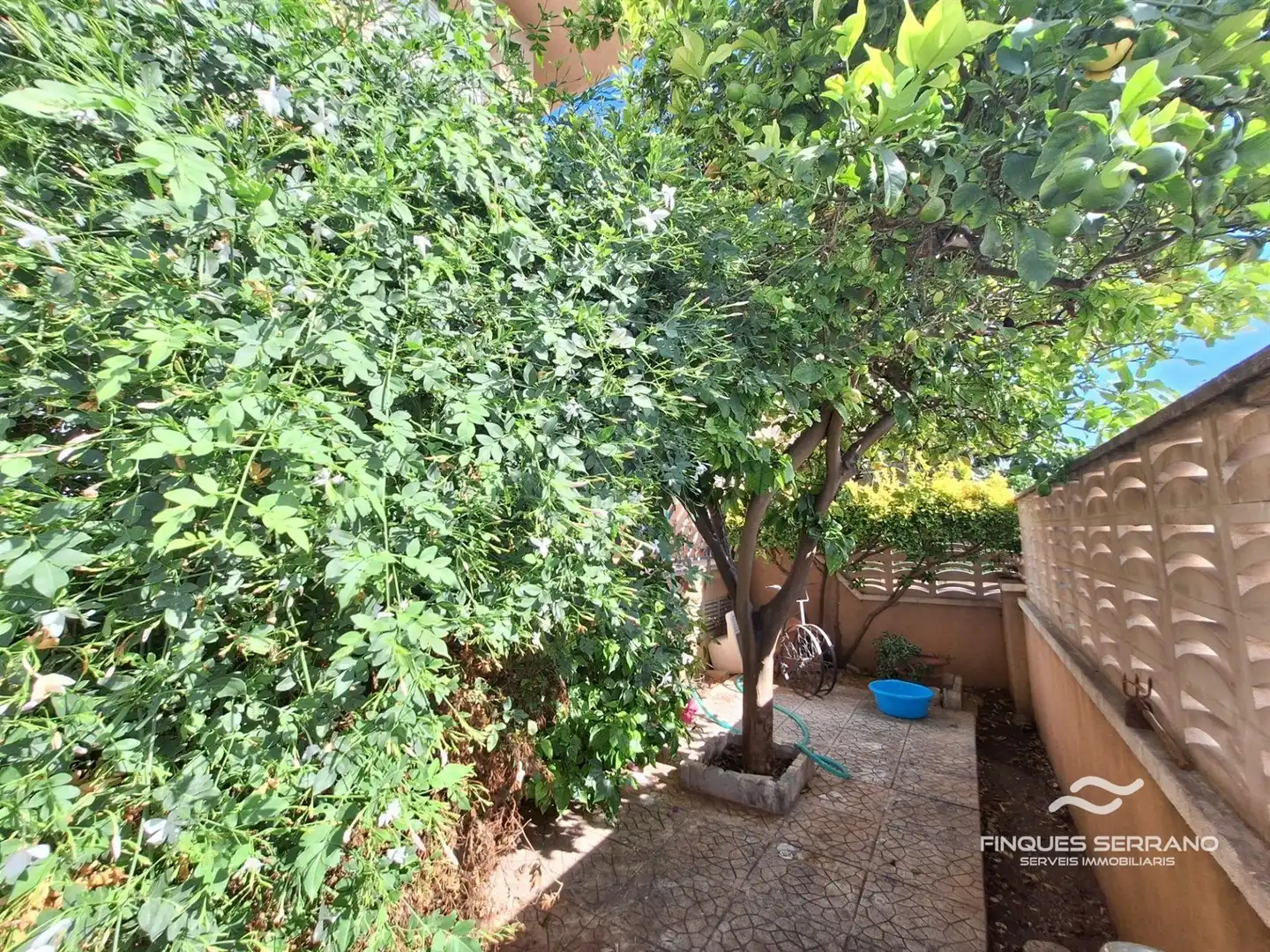 Piso en venta en RAVAL DEL TORRENT, imagen 32