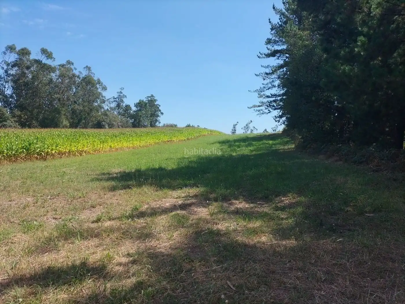 Rural land for sale in Lugar Manle 13, imagen 6