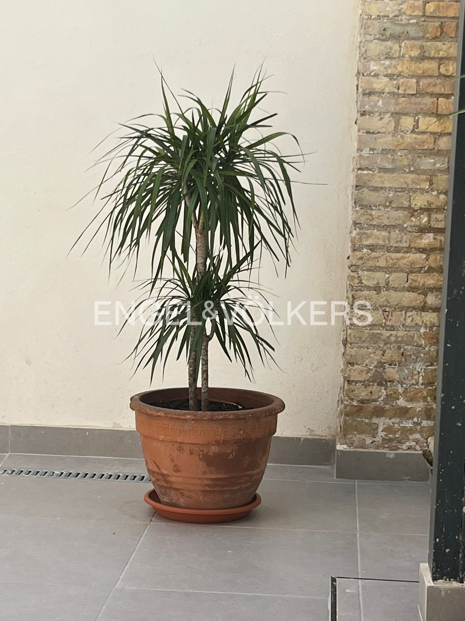 Vista exterior de Apartament de lloguer en  Valencia Capital amb Aire condicionat, Calefacció i Terrassa