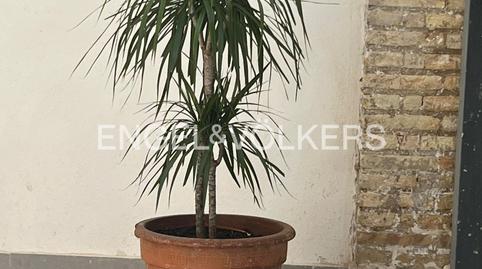 Foto 3 de Apartament de lloguer a Carrer de L'olivereta, Nou Moles,  Valencia Capital