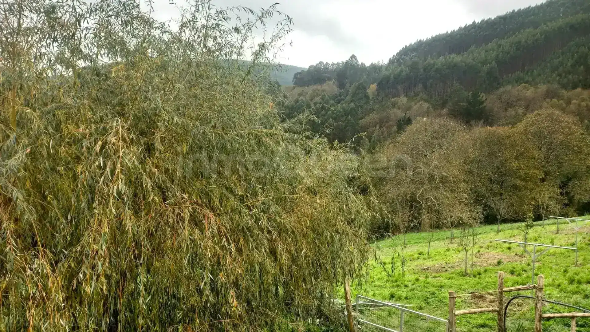 Casa o chalet en venta en Riotorto con Calefacción, Jardín privado y Amueblado