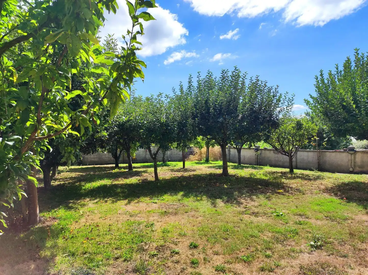 Villa con giardino in vendita a SOBRE IGREXA, imagen 84