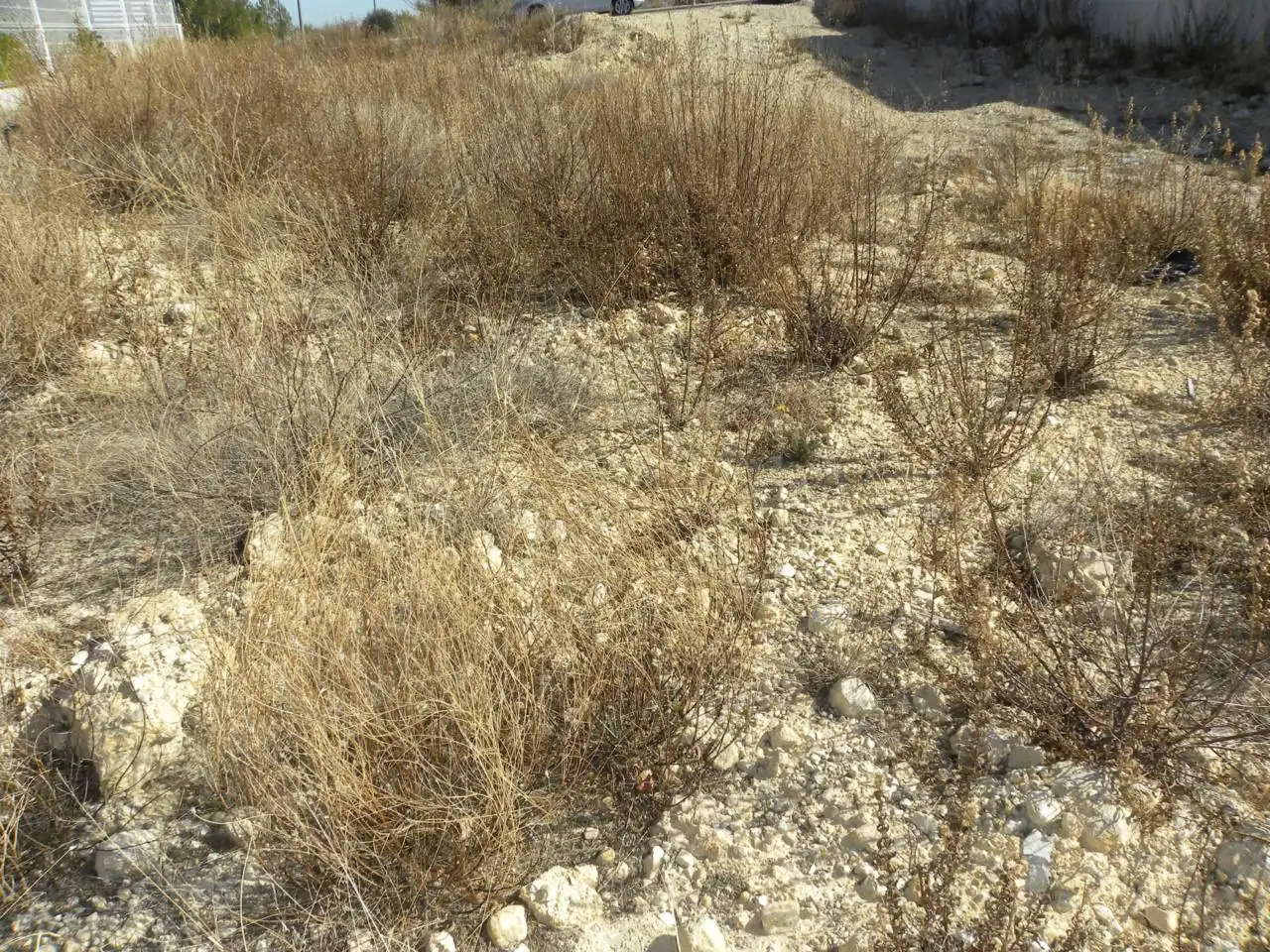 Residential land for sale in Caravaca de la Cruz, imagen 7