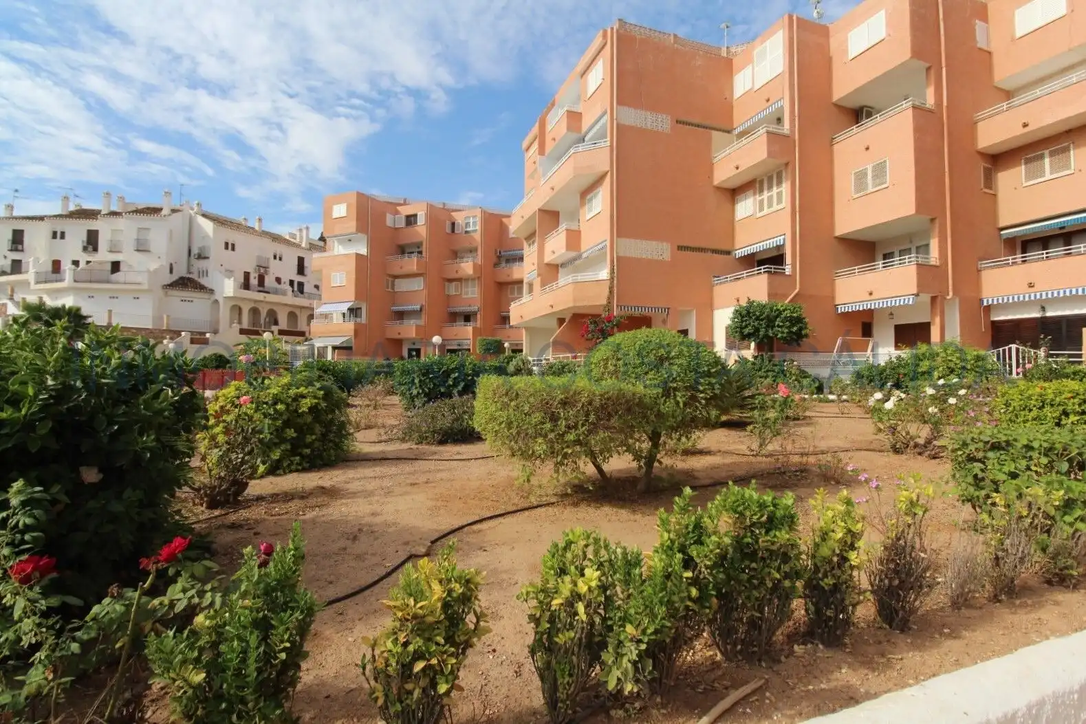 Exterior view of Flat for sale in Águilas  with Terrace and Furnished