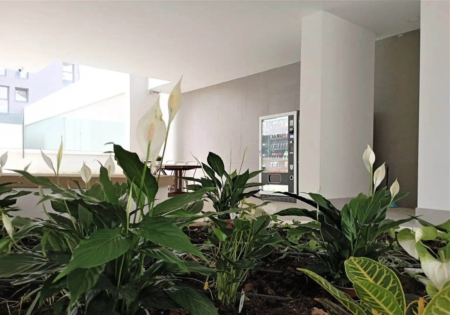 Wohnung zur Miete in Valencia mit Terrasse, Abstellraum und Möbliert