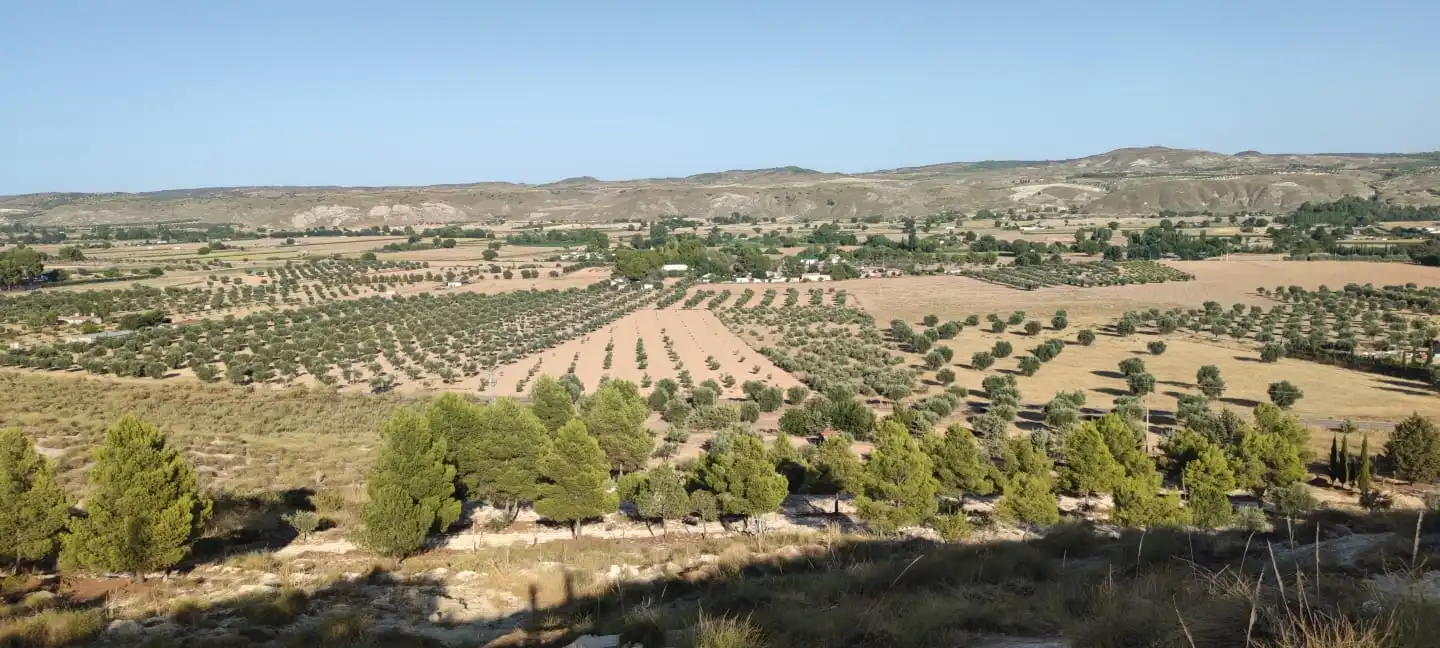 Casa o xalet en venda en Chinchón amb Jardí privat i Terrassa