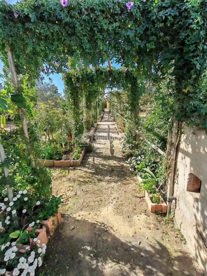 Jardín de Finca rústica en venta en Marchena con Aire acondicionado