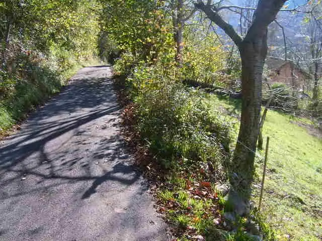 Grundstücke und Bauplätze zum Verkauf in Cangas de Onís, imagen 5