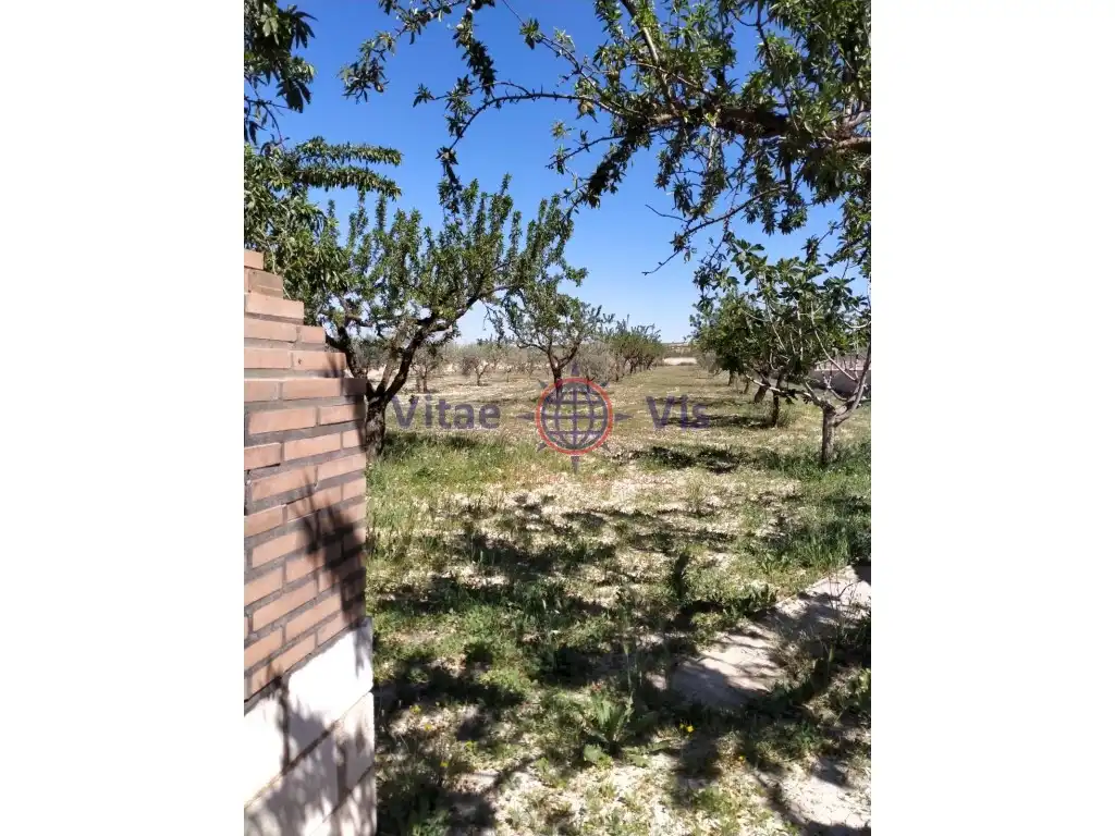 Houses for sale in Aviles