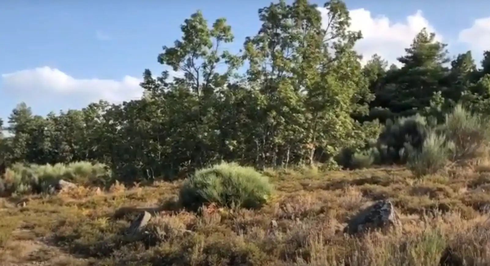 Terreni e lotti in vendita a Jerte, imagen 3