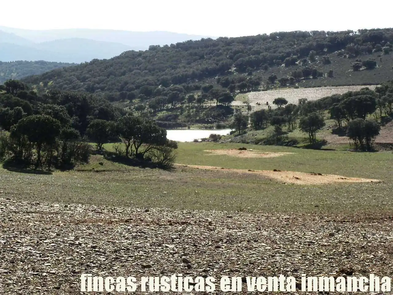 Terreno en venta en Almuradiel