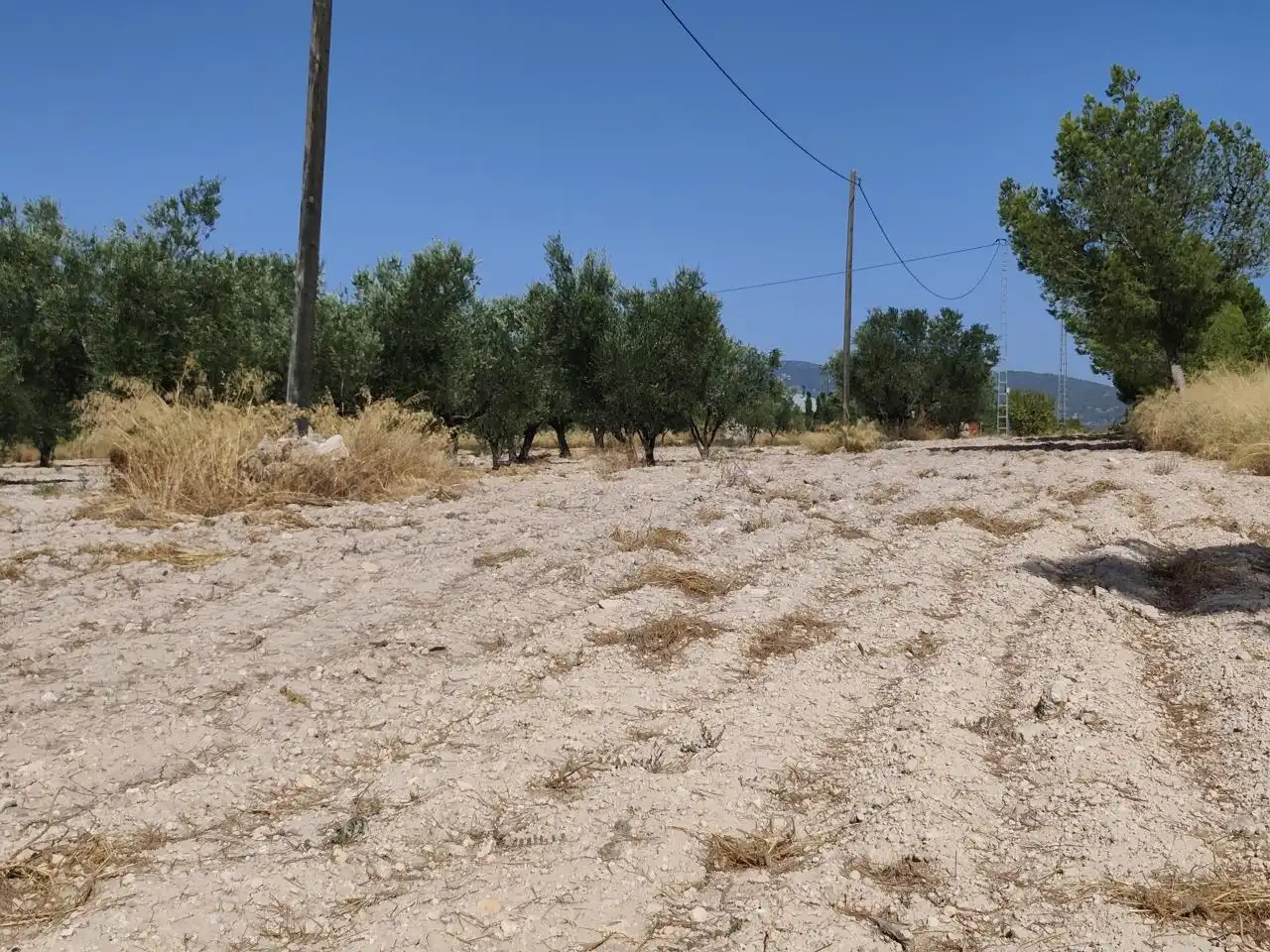 Terreno rustico in vendita a Castalla, imagen 9