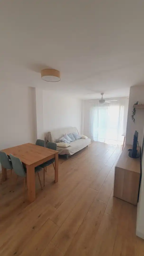 Sala de estar de Piso de alquiler en Alicante / Alacant con Aire acondicionado, Calefacción y Terraza