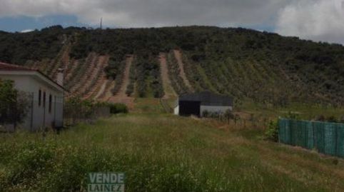 PARCELA EN PERALEDA 
Parcela de 7147 m2, linda con calle principal del pueblo, prácticamente llana, tiene olivos en la parte alta, imatge 2