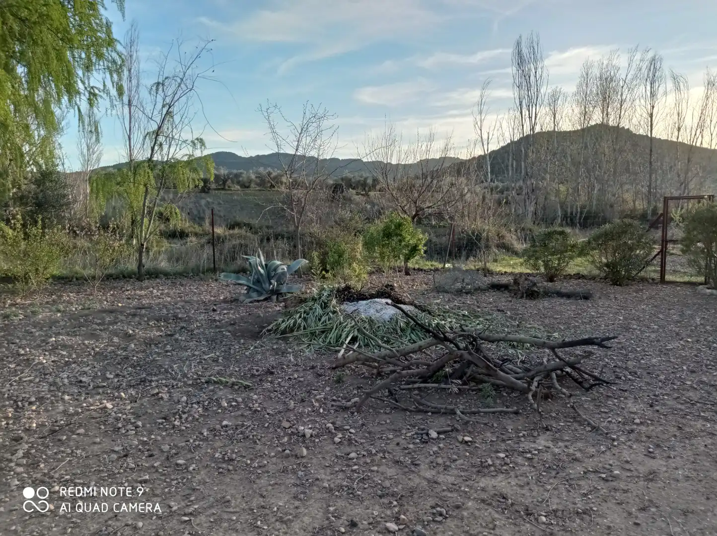 Chalet con jardín en venta en Porzuna, imagen 15