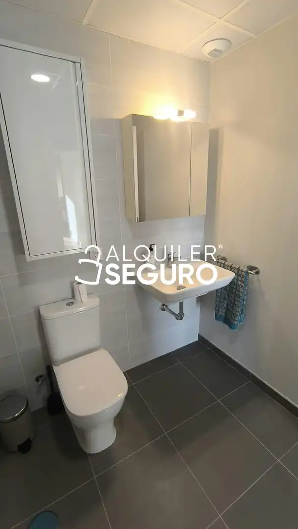 Baño de Piso de alquiler en Sevilla con Aire acondicionado, Trastero y Piscina