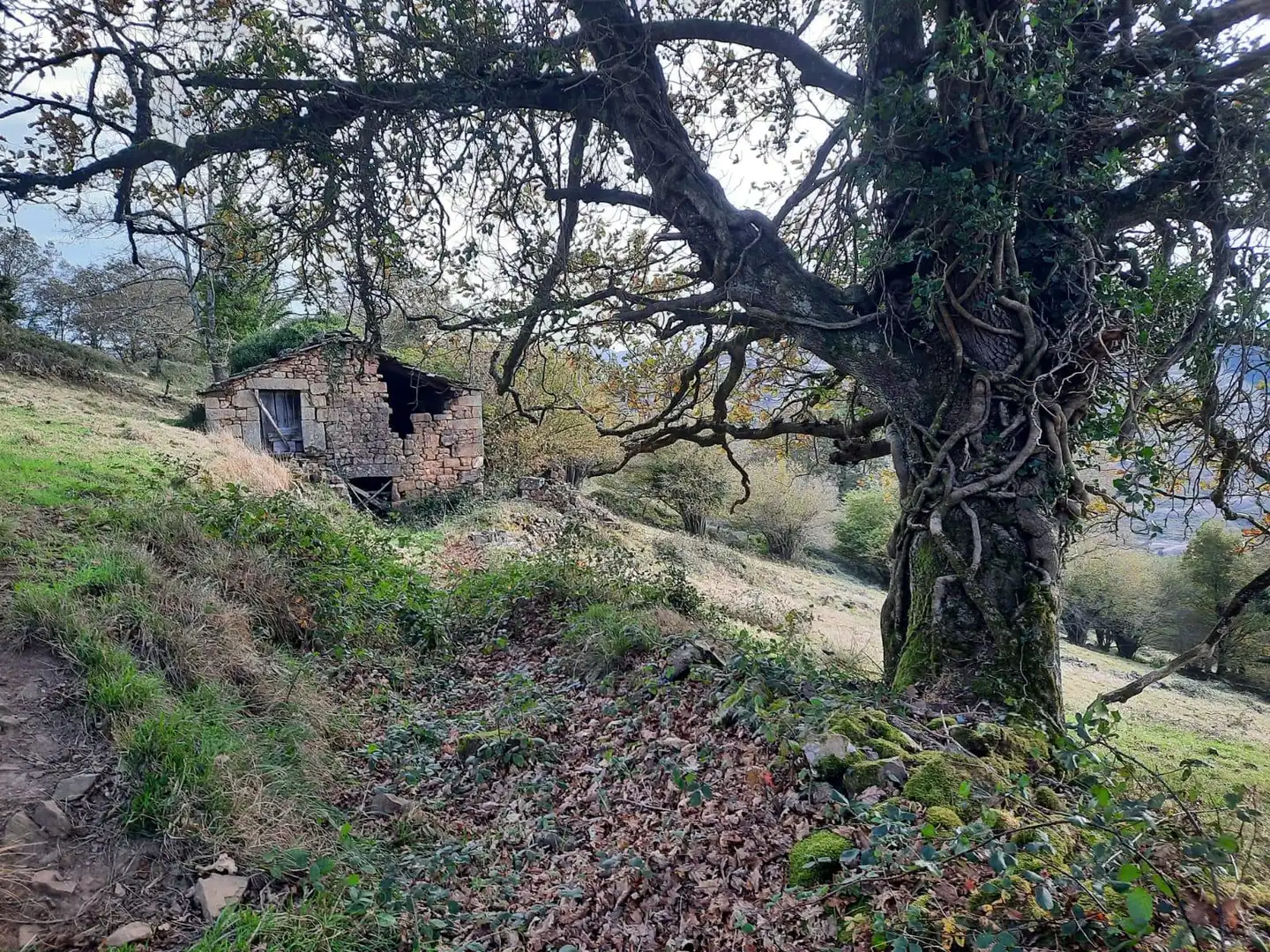 Casa rústica en venda a San Pedro del Romeral, imagen 47