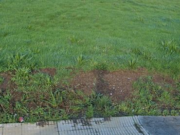 Terreno residencial en venta en Oza dos Ríos