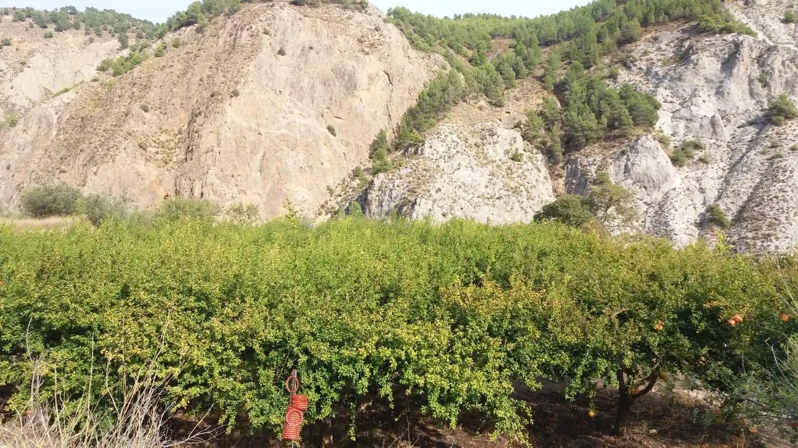 Rural land for sale in Villamena, imagen 2