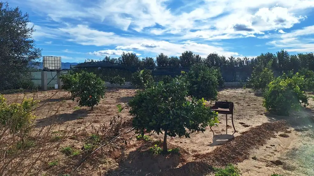 Casa o chalet en venta en Avinguda Mediterrànea, Sant Joanet