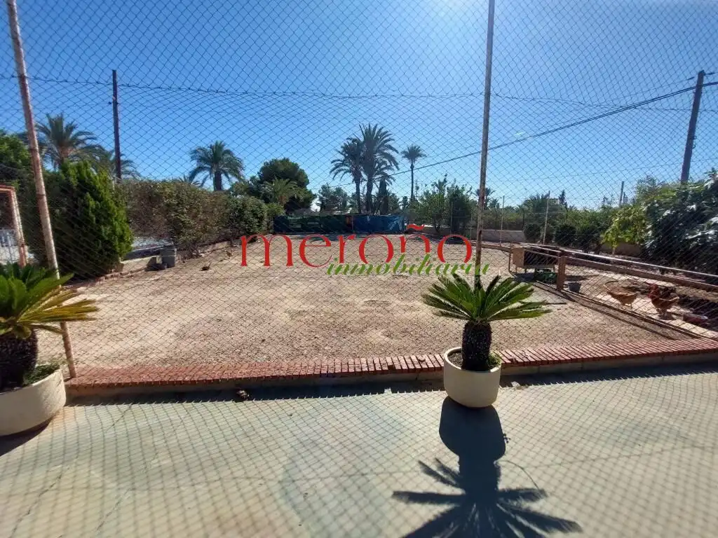 Vista exterior de Casa o xalet en venda en Elche / Elx amb Jardí privat i Piscina