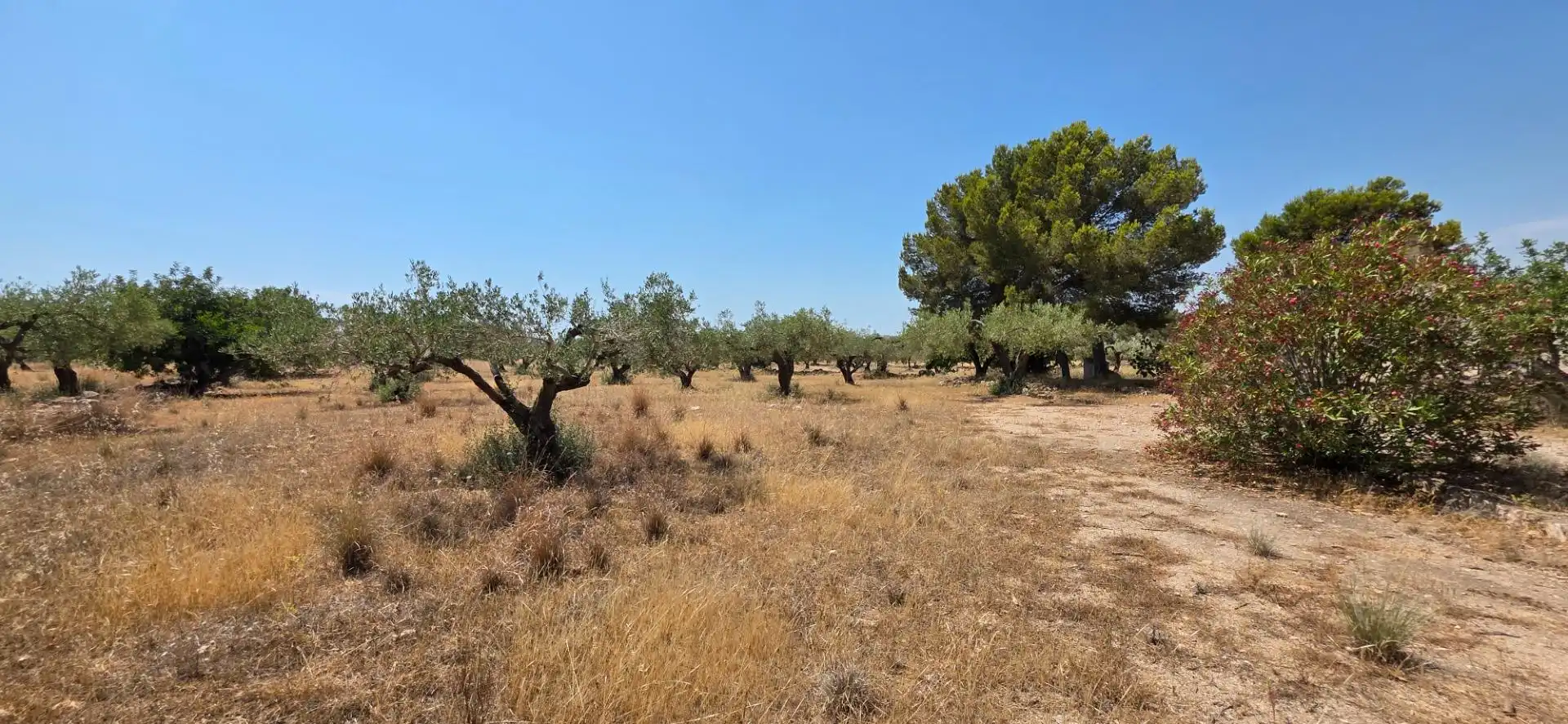 Maison rustique à vendre à L'Ametlla de Mar pueblo, imagen 26
