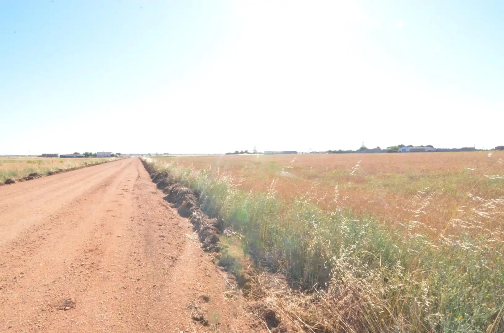 Rural land for sale in Calzada de Valdunciel, imagen 6