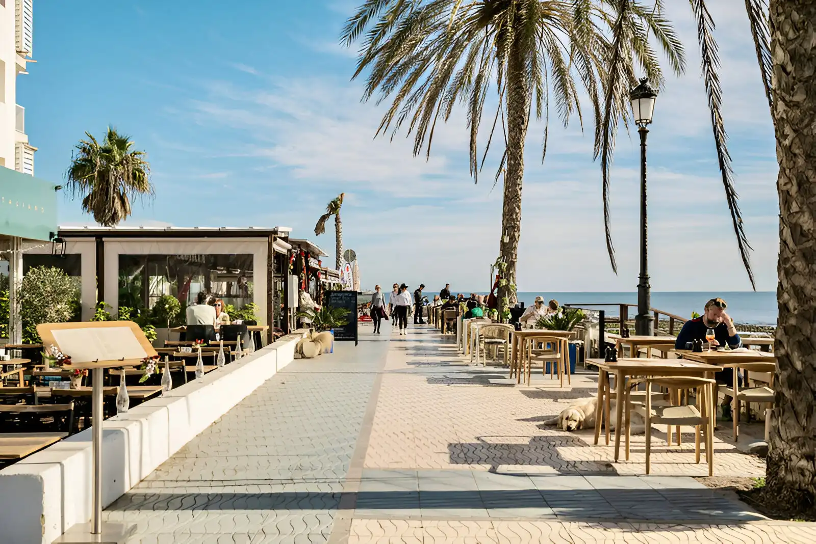 Apartment mit Aufzug zum Verkauf in San Pedro de Alcántara, imagen 31