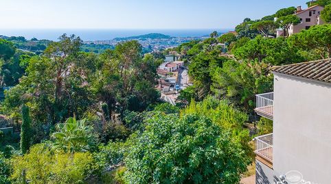 GRAN CASA EN ROCA GROSSA CON TERRENO, image 5