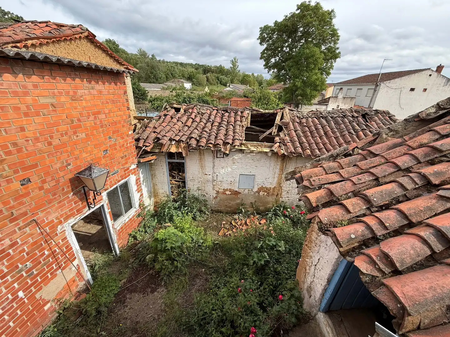 Vista exterior de Finca rústica en venta en Cimanes del Tejar