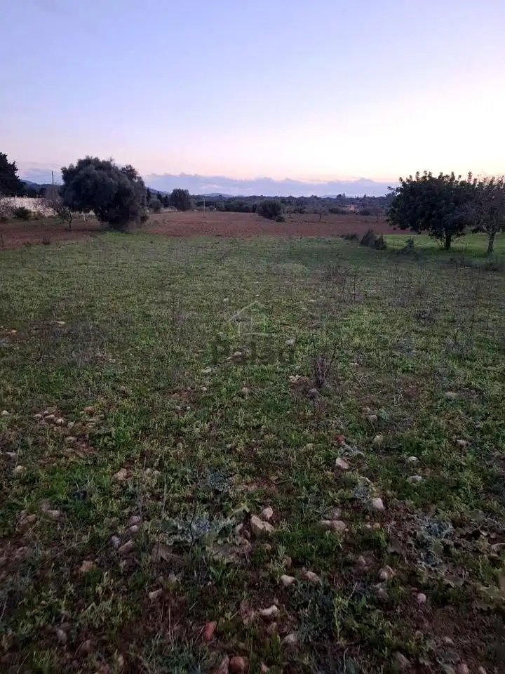Rustikales Grundstück zum Verkauf in Felanitx Poble, imagen 7