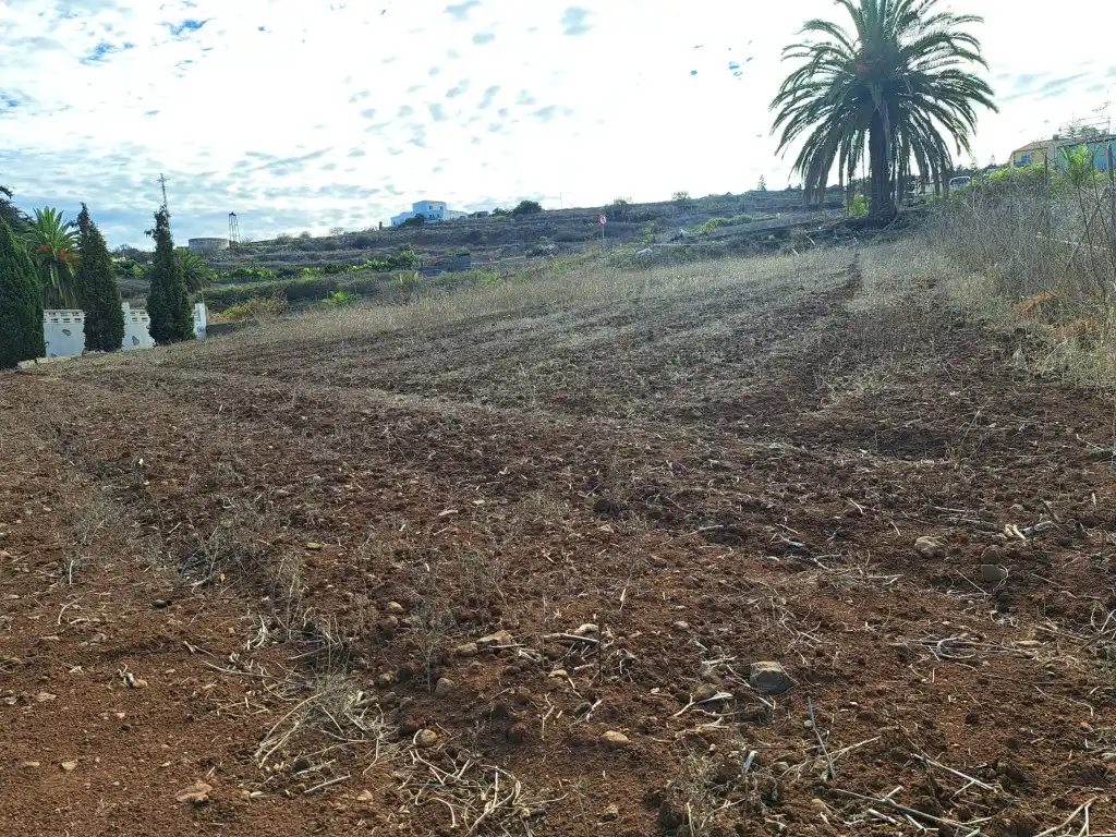 Rural land for sale in El Sauzal, imagen 8