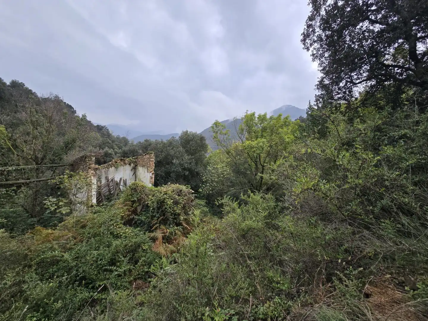 Maison à vendre à Susqueda, imagen 18