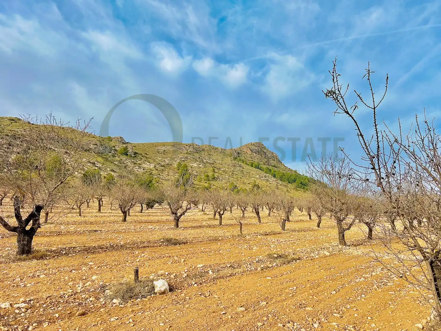 Residencial en venta en Villena