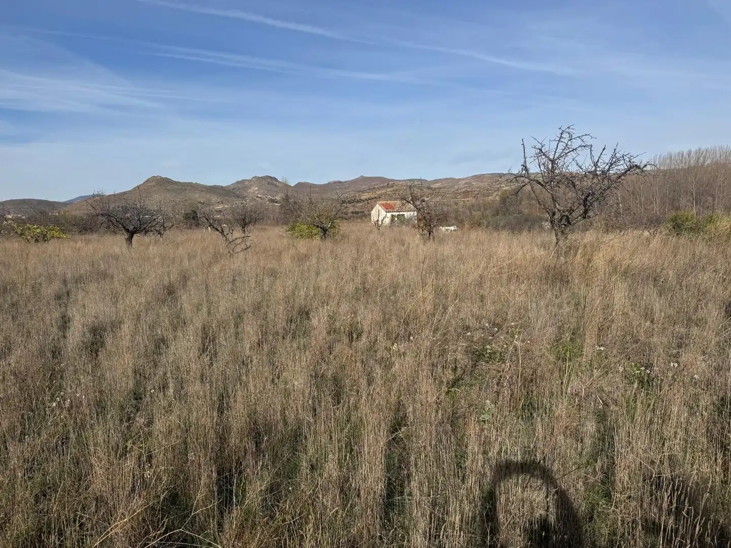 Terreno en venta en Jarque de Moncayo