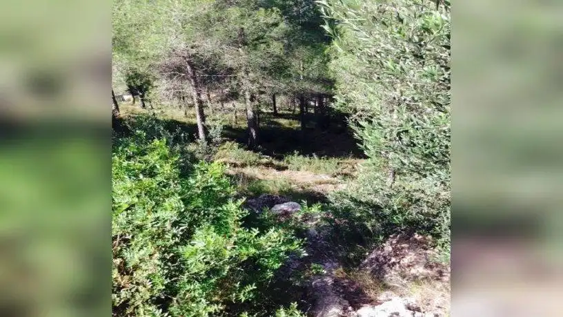 Terreno residencial en venta en La Bisbal del Penedès, imagen 2