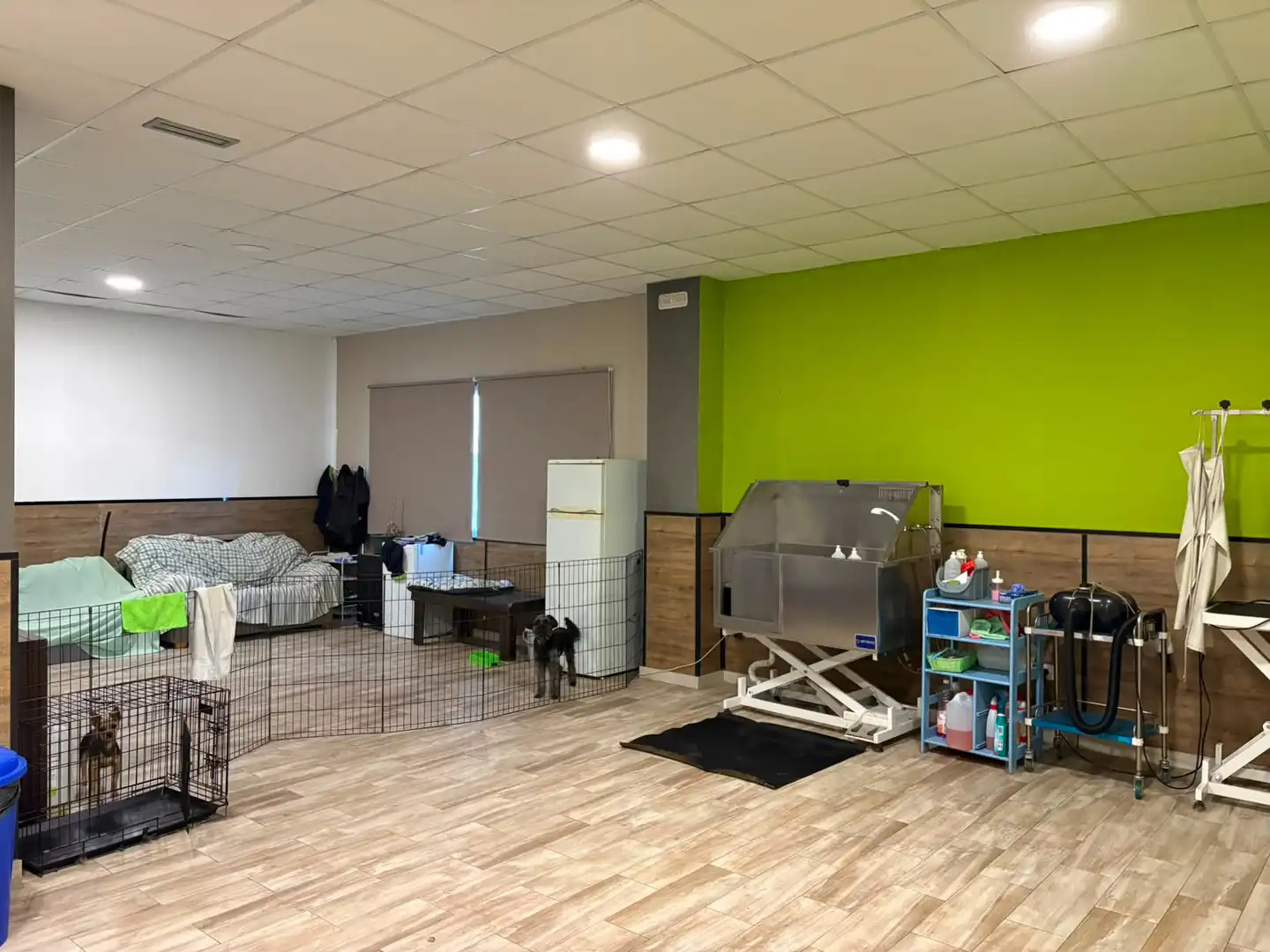 Gewerbefläche zur Übernahme in Barrocanes