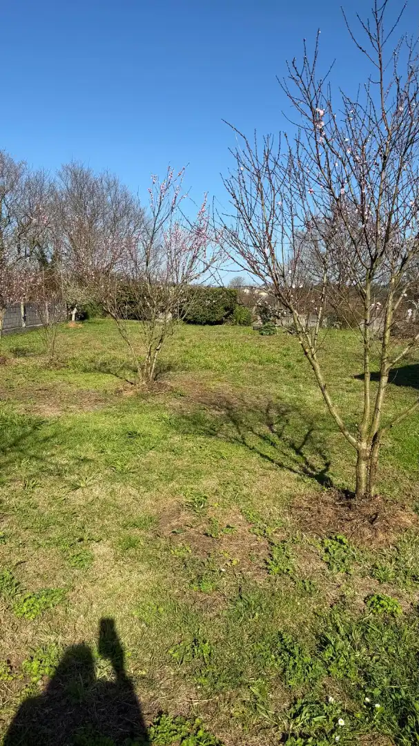 Casa o xalet en venda en Carballo amb Calefacció, Jardí privat i Moblat