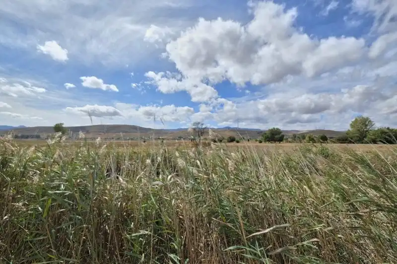 Terreni e lotti in vendita a Padul, imagen 22