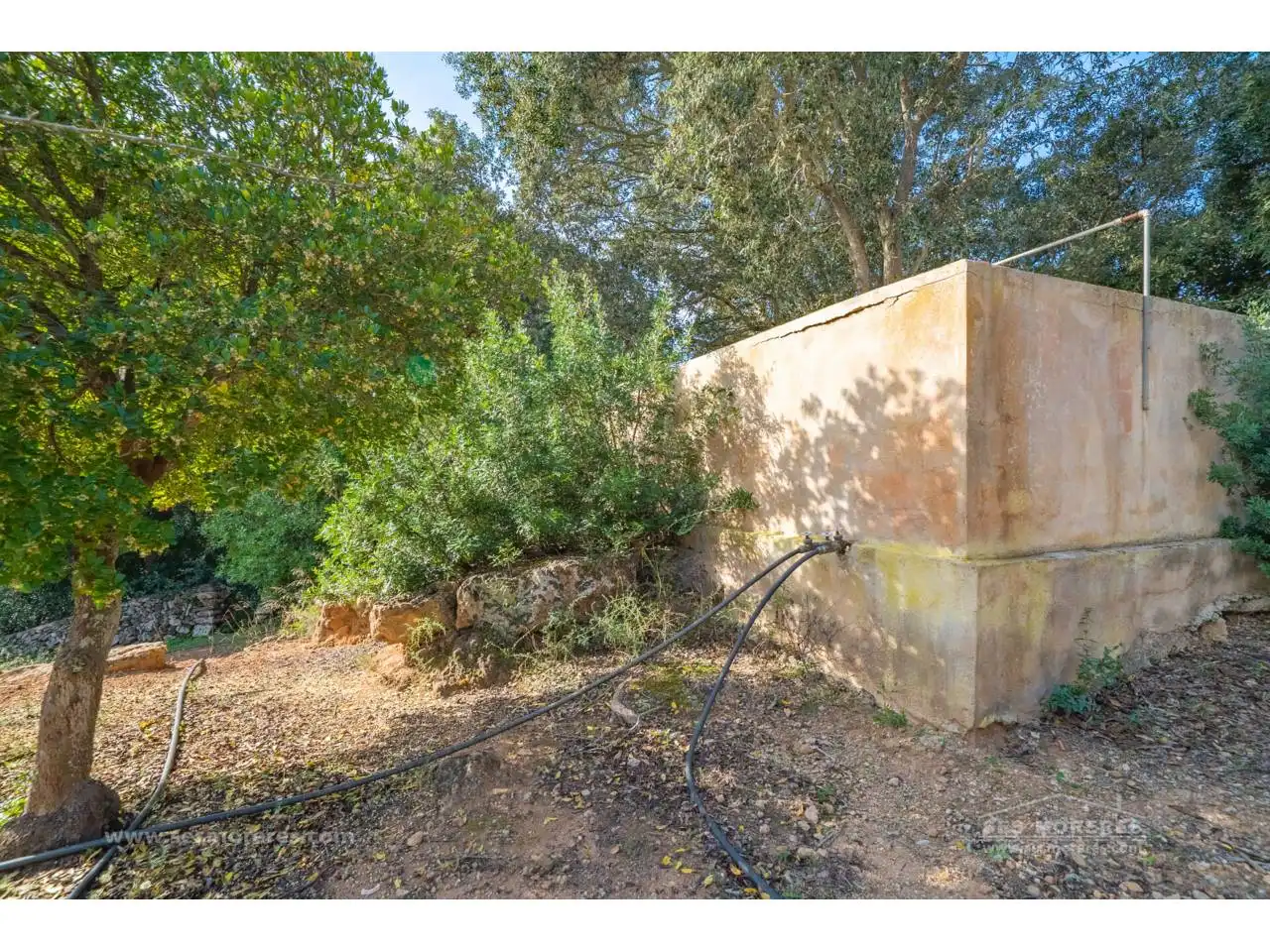 Jardí de Finca rústica en venda en Es Mercadal amb Jardí privat i Terrassa