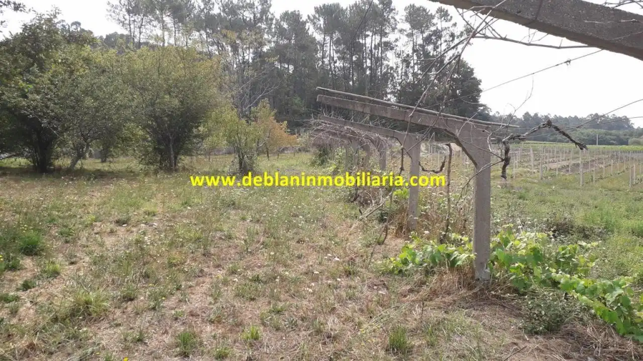 Terreno rustico in vendita a Tomiño, imagen 7