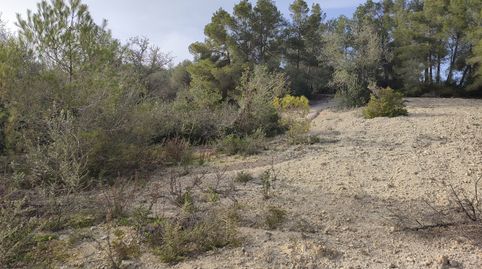 Finca rústica de 2541 m2 con bonitas vistas, imatge 4