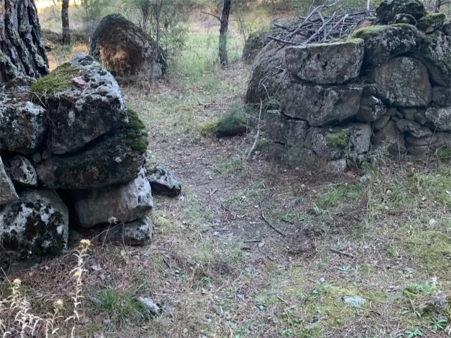 Finca rústica en venta en La Adrada 