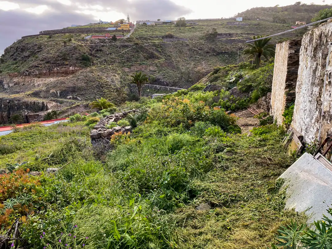 Finca rústica en venta en Moya (Las Palmas)