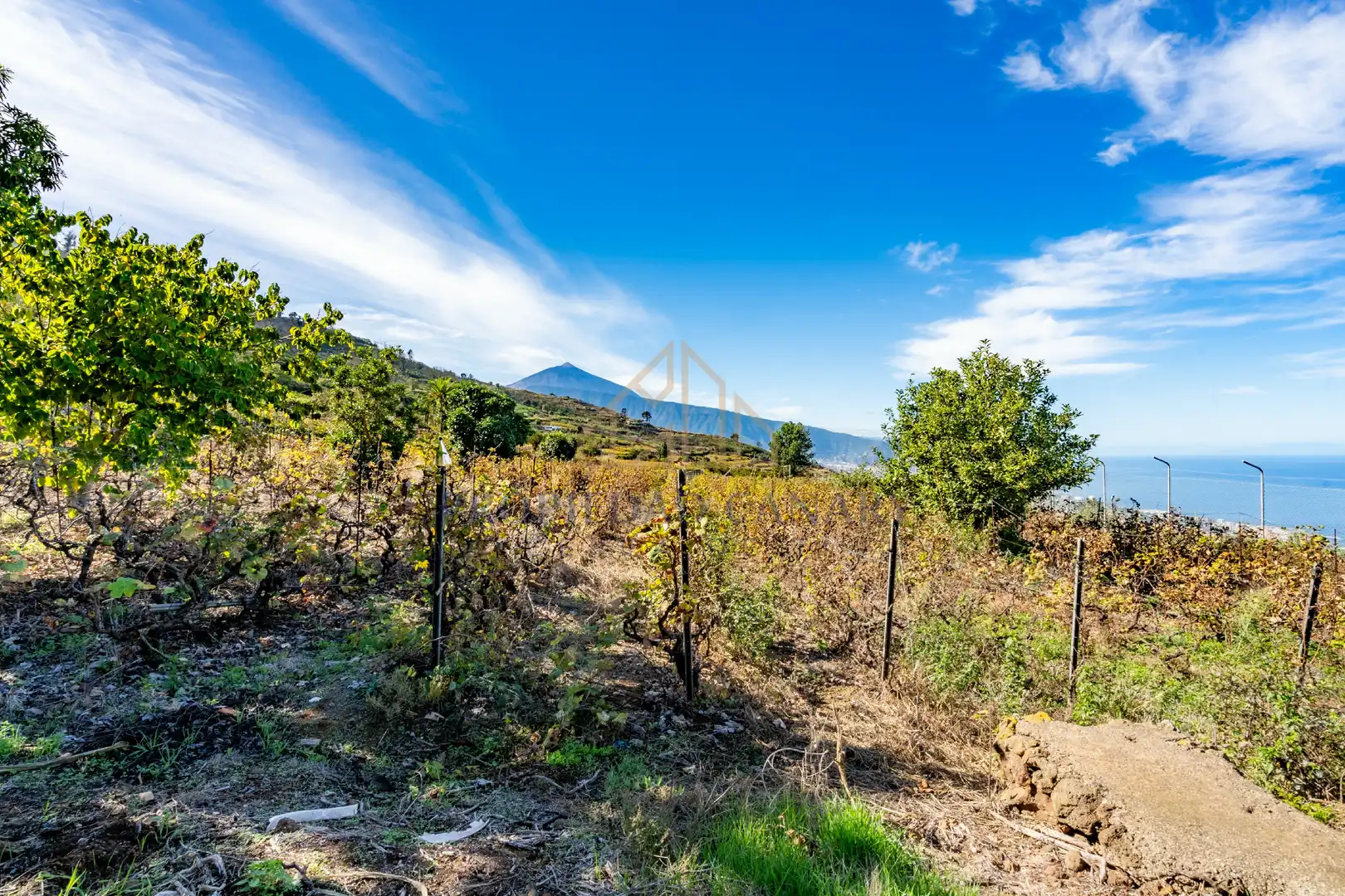 Finca rústica en venda en Santa Úrsula amb Terrassa