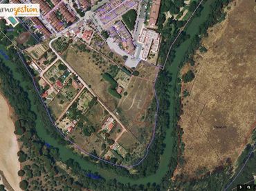 Terreny rústic en venda a Tudela de Duero
