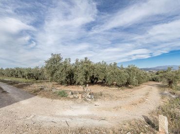 Terreno residencial en venta en Calle Pago de la Sierra