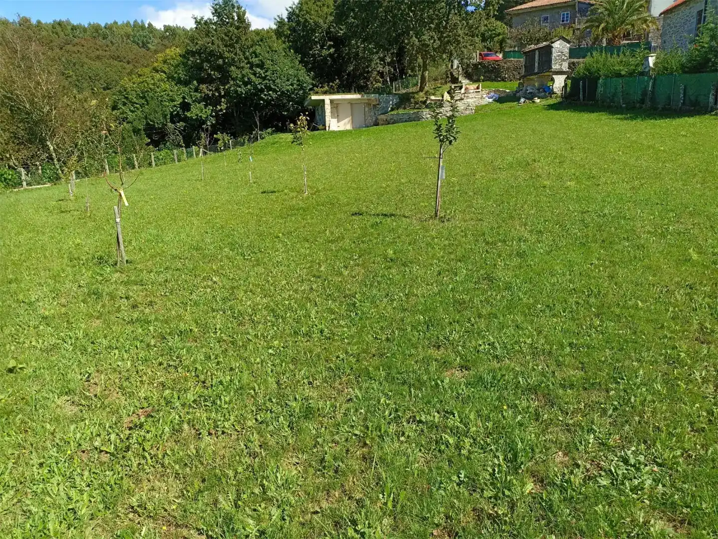 Terreno en venta en Cerdedo