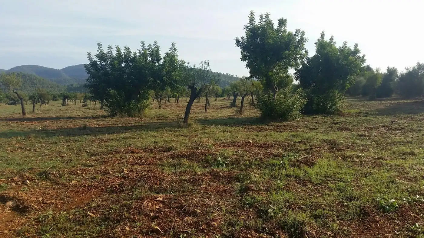 Casa rustica in vendita a Campanet, imagen 5